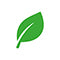 Eco Icon
